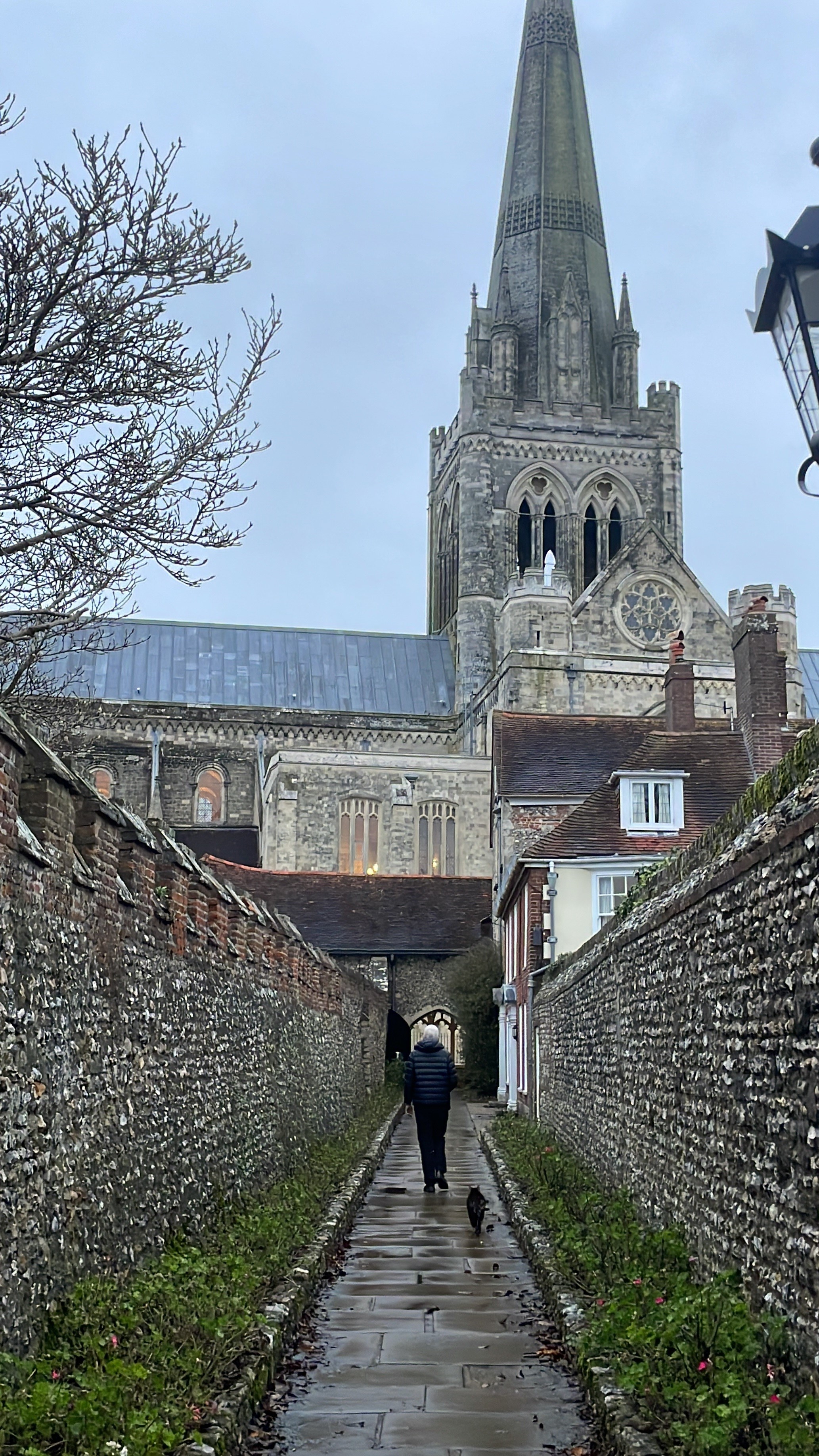 Bertie, a brown and white tabby cat, follows Interim Dean up St Richard's walk - a stone walkway leading to the Cathedral