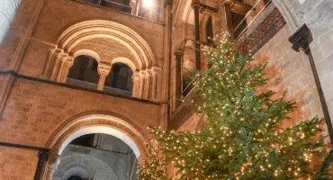 Christmas tree within Chichester Cathedral's Nave